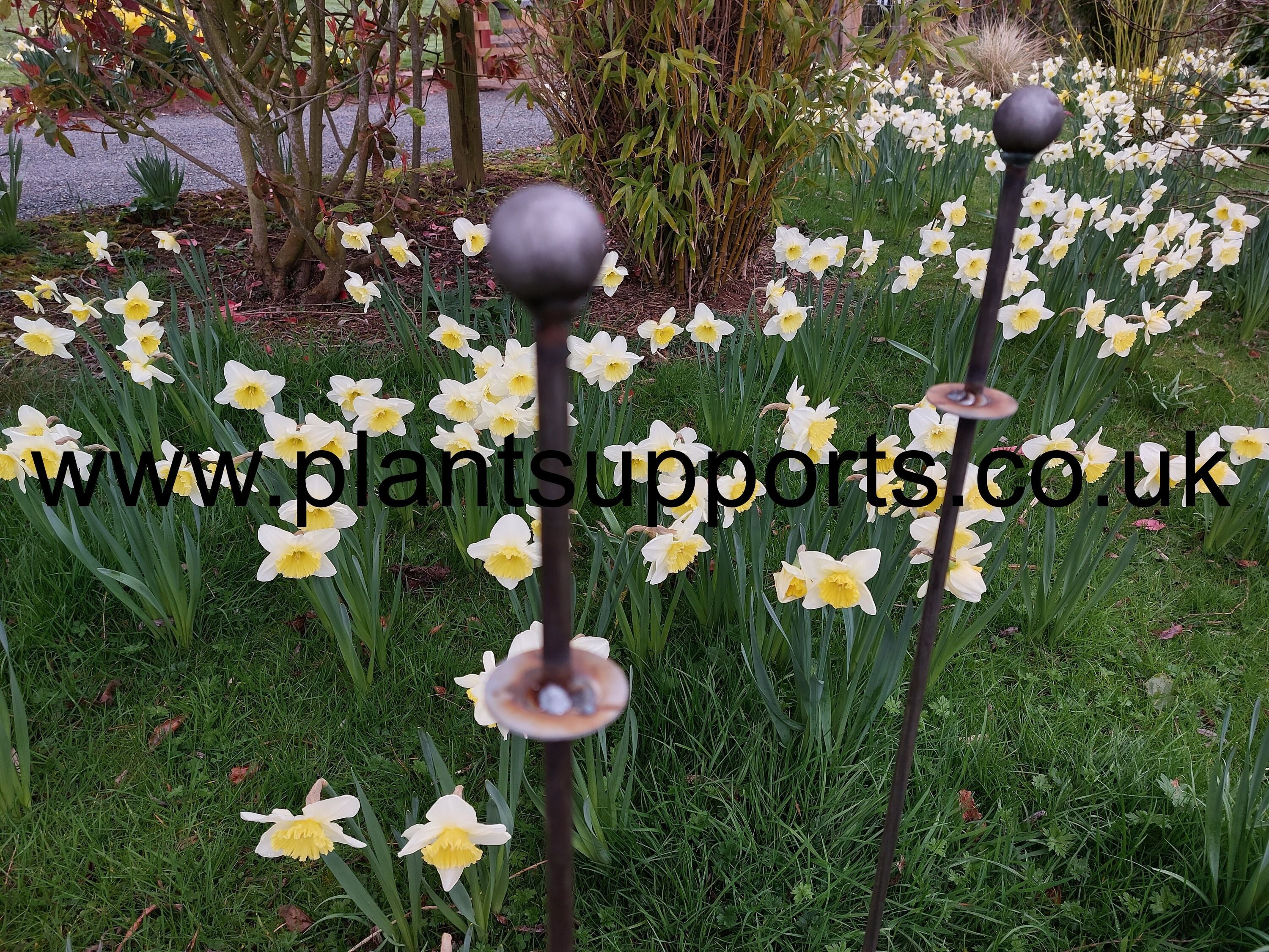 Ball topped Iron Plant Stake with Lip pack of 3 A0075A Ball topped Iron Plant Stake with Lip pack of 3 A0075A